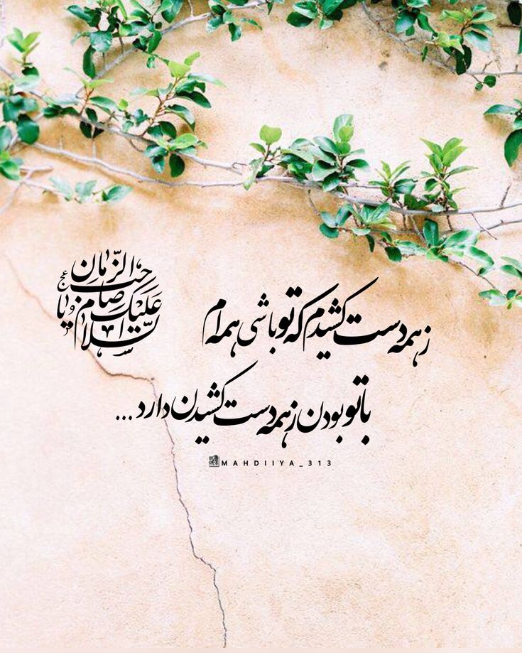 #امام_زمان #حضرت_مهدی #برای_ظهور #امام_عصر #مهدیا #کار_برای_امام_زمان #پست_پیج_اصلی #twelfth_emam #savior #Appearance #Christ #son_of_man #mahdiiya_313